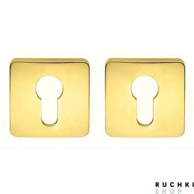 Накладка под цилиндр PT13, Полированная латунь, Colombo