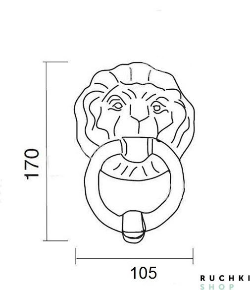Ручка-гонг LEONE 170*105 мм, Полированная латунь, Pasini 