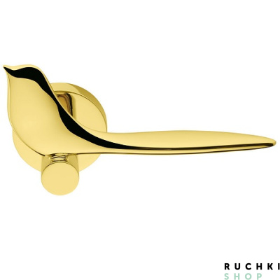 Ручка на розетке TWITTY, Полированная латунь, Colombo